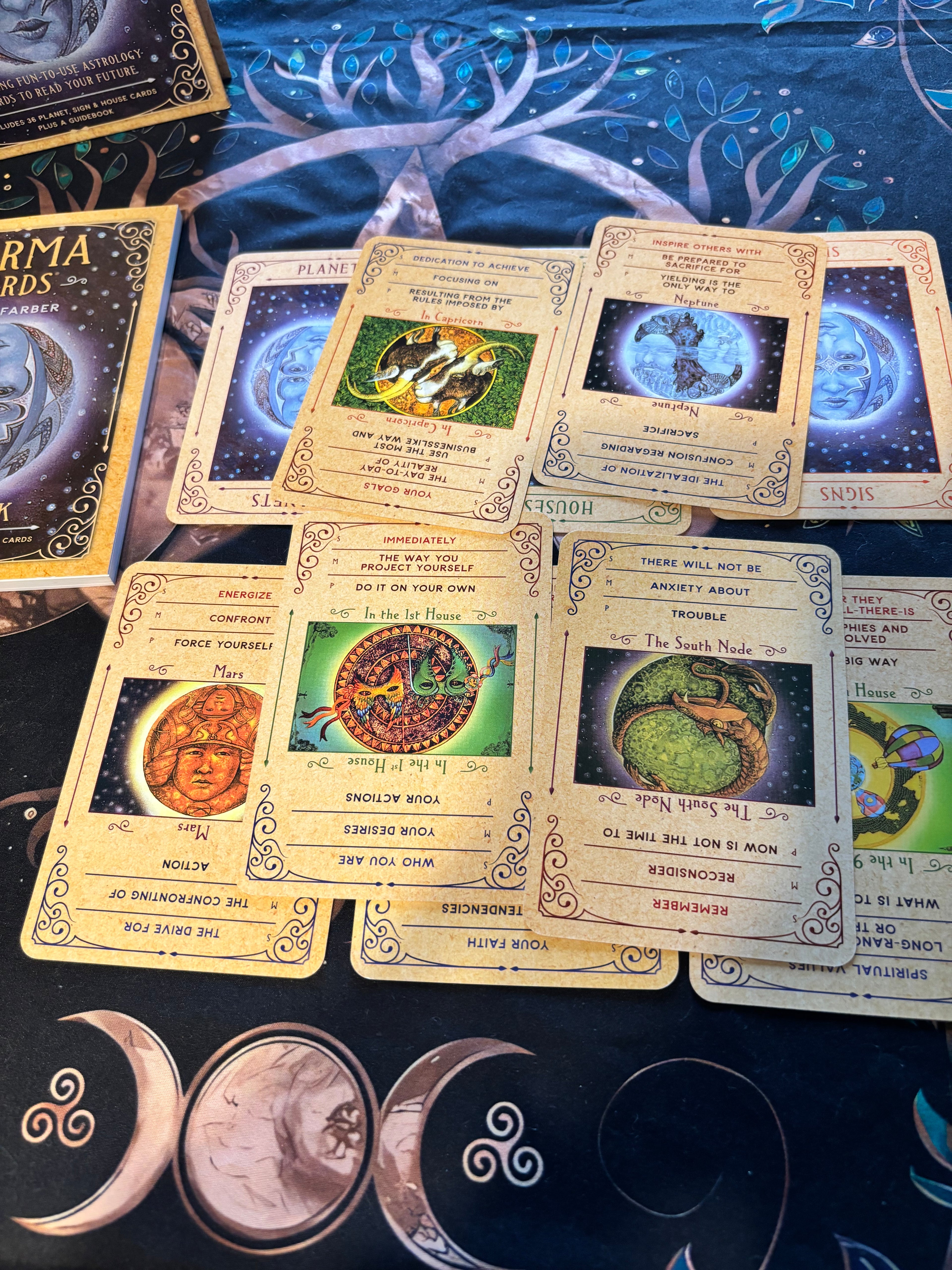 🔮✨Tarot + Oracle combo