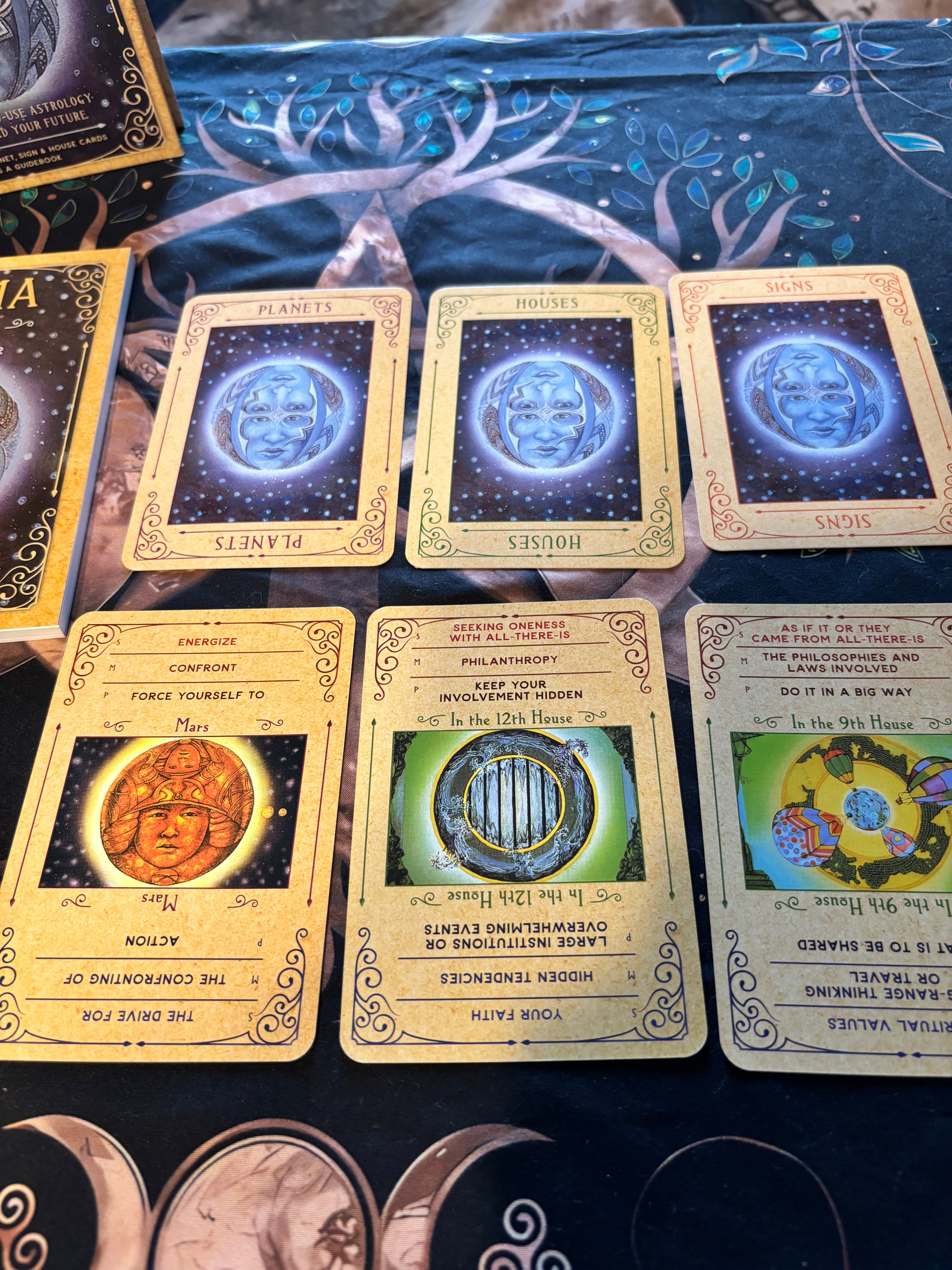 🔮7 Card Divine Oracle Insight